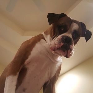 Meet your Posher, Kyle